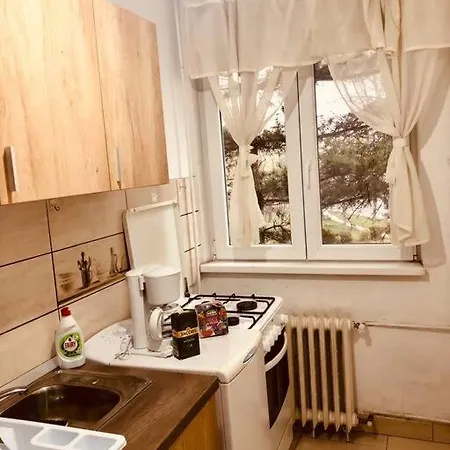 Apt Near Spitalul Judetean, Need Lr14 Apartment